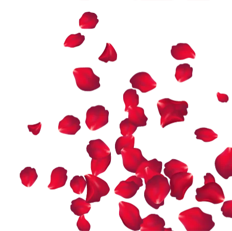 flowers design